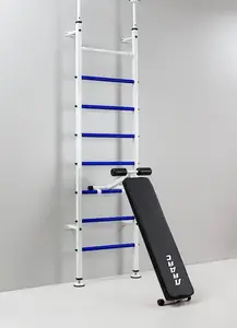 Шведская стенка Ладас СТ Демос купить