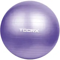 М'яч для фітнесу Toorx Gym Ball 75 cm Purple (AHF-013) купити