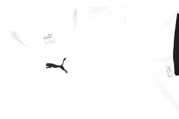 Футболка Puma teamRISE Jersey Jr білий Діт 164 см купити недорого в Україні, фото 3