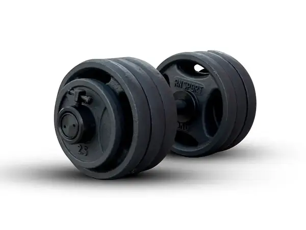 Гантель розбірна олімпійська на 41 кг RN-Sport 41 купити