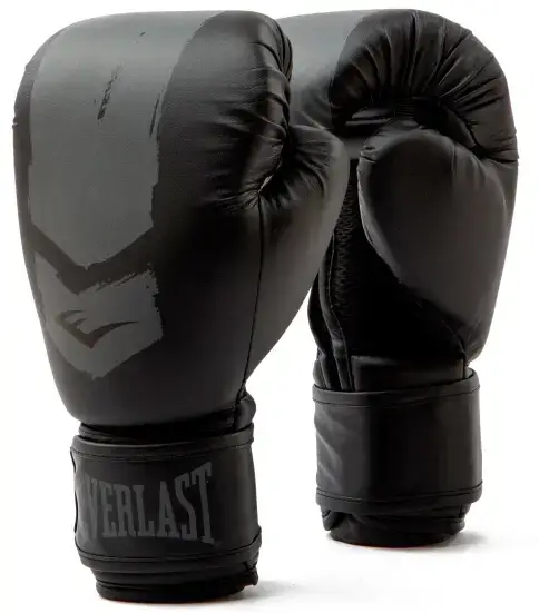 Боксерські рукавиці Everlast PROSPECT 2 BOXING GLOVE чорний, сірий Уні 6 унцій купити