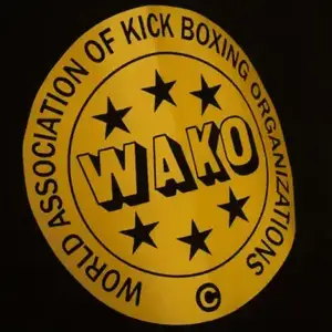 Защита голени и стопы с лицензией Wako Semi Contact черный/золотой L | ADIDAS ADIKBSI300 купить