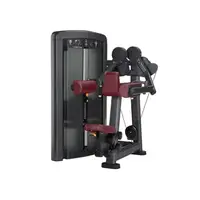 Дельта машина Iron Impulse Lateral Raise RT.LS02 | Чорний/Червоний купити