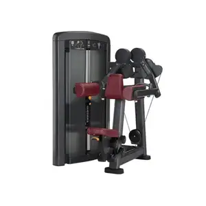 Дельта машина Iron Impulse Lateral Raise RT.LS02 | Чорний/Червоний купити