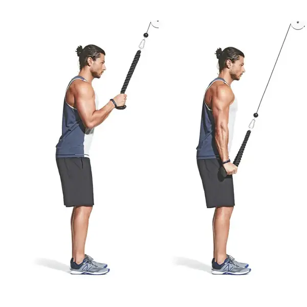 Канат для тяги York Fitness подвійний хват на трицепс купити недорого в Україні, фото 7