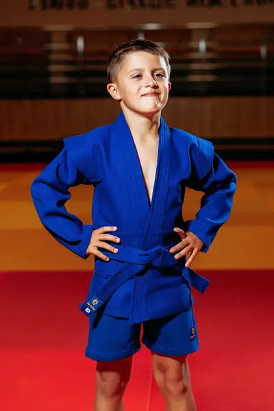 Форма для самбо (самбовка) синя TM "Kintayo", 150 зріст, щільність 550 гр/м.кв. купити недорого в Україні, фото 2