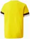 Футболка Puma teamRISE Jersey Jr жовтий Діт 116 см купити