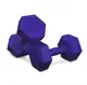 Гантели для фитнеса композитные Hop-Sport HS-C040DS 2х4 кг фиолетовый купить недорого в Украине, фото 18847