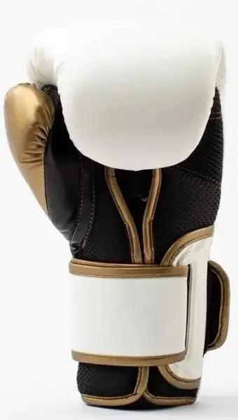 Боксерські рукавиці Everlast POWERLOCK 2R TRAINING GLOVE білий, золотий Уні 16 унцій купити недорого в Україні, фото 5