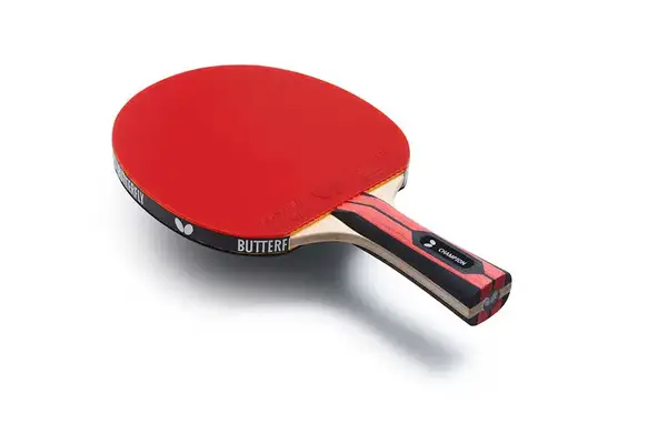 Ракетка для настільного тенісу Team Butterfly Champion FL (6256800002) купити недорого в Україні, фото 2