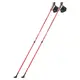 Палки для нордической ходьбы Nils NW 802 купить недорого в Украине, фото 376