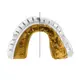 Капа OPRO Gold Braces под брекеты взрослая (возраст 11+) White/Gold (art.102506004) купить