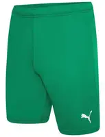 Шорти Puma teamRISE Short зелений Чол L купити
