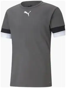 Футболка Puma teamRISE Jersey сірий Чол M купити
