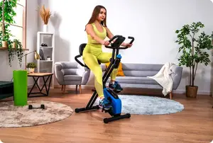 Велотренажер магнитный TINY THUNDER черно-синий купить