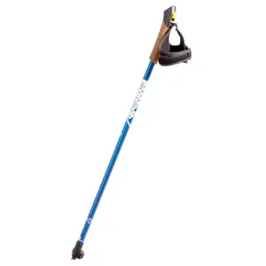 Палки для скандинавської ходьби RE:FLEX NW 211 сині купити