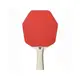 Ракетка для настільного тенісу Stiga Cybershape 1 Star FL (1211-0906-35) купити