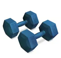 Гантели для фитнеса композитные Hop-Sport HS-C080DS 2х8 кг голубой купить
