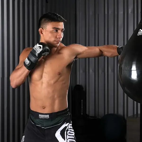 Перчатки для ММА Phantom RIOT Black L/XL (капа в подарок) купить недорого в Украине, фото 8