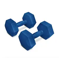 Гантели для фитнеса композитные Hop-Sport HS-C030DS 2х3 кг синий купить