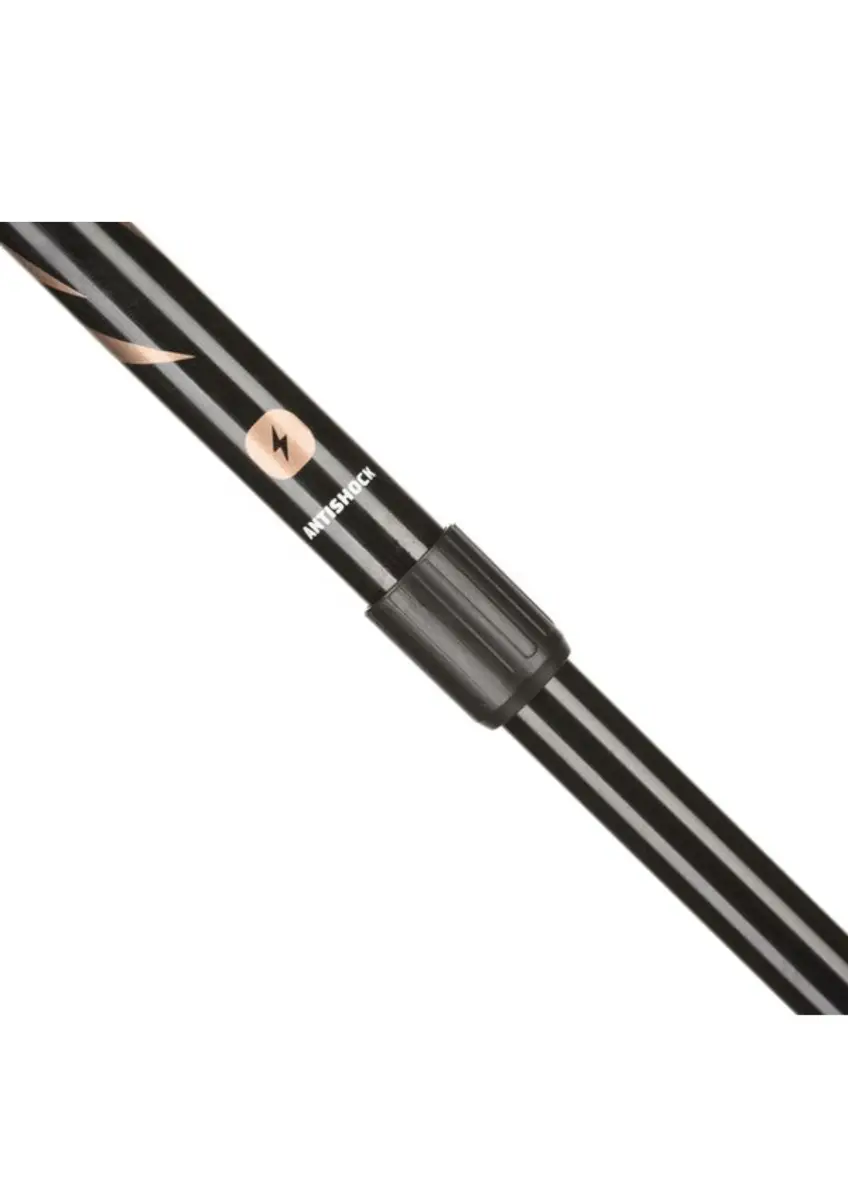 667d2e33c64a481de246428372478ba2