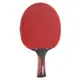Ракетка для настільного тенісу Joola Rosskopf Classic (54200) купити