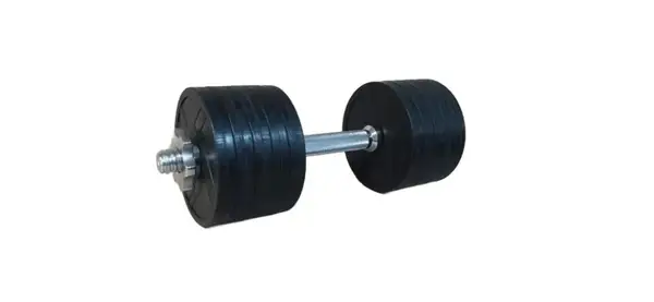 Резина гантель 13,5кг (гриф 35 см + 10х1.25 диски) купить