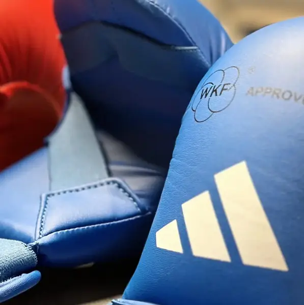 Рукавички для карате з ліцензією WKF XS| синій | ADIDAS 661_22_20 купити недорого в Україні, фото 5