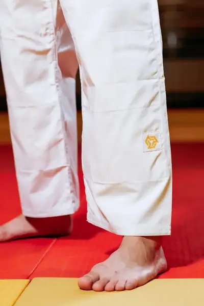 Кимоно для дзюдо белое, TM "Kintayo" Wazari, 170 рост, плотность 650 гр/м.кв. купить недорого в Украине, фото 6