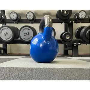 Гиря чавунна з вініловим покриттям 24 кг (синя) Generation Fitness FF51F1A-24kg купити