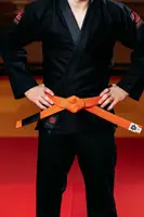 Оранжевый пояс для джиу джитса ТМ KINTAYO, 180 рост купить