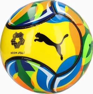 М'яч футбольний Puma Beach Football (FIFA Pro) мультиколор Уні 5 купити