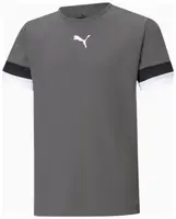 Футболка Puma teamRISE Jersey Jr серый Дет 152 см купить