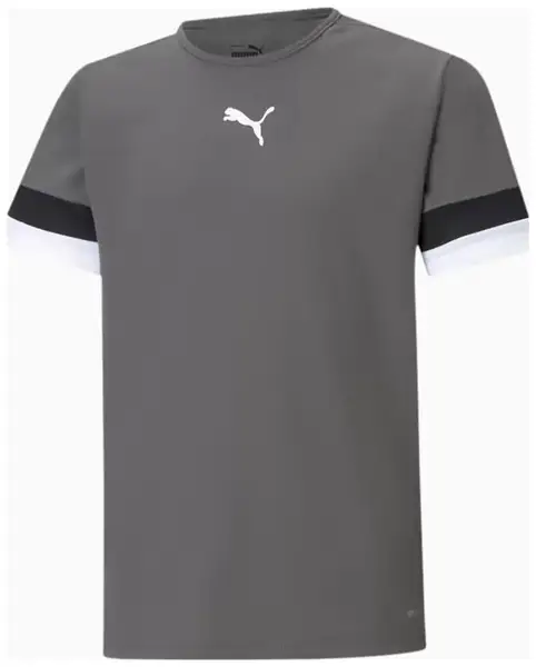 Футболка Puma teamRISE Jersey Jr сірий Діт 152 см купити