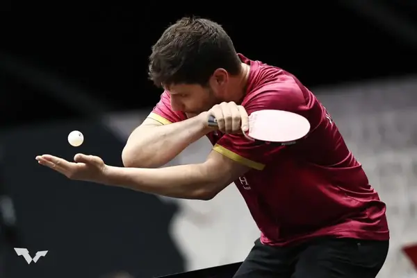 Ракетка для настільного тенісу Butterfly Ovtcharov Prime C (Carbon) FL (6116500002) купити недорого в Україні, фото 6