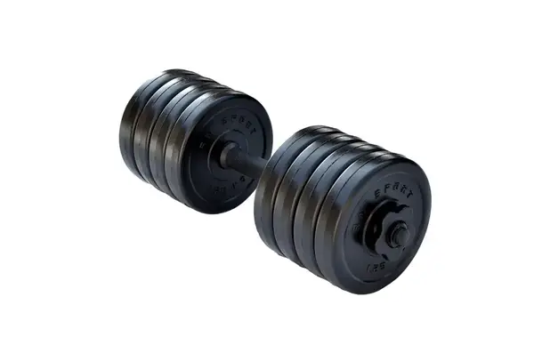 Гантель розбірна RN-Sport Long 10 кг купити