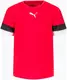 Футболка Puma teamRISE Jersey Jr червоний Діт 140 см купити недорого в Україні, фото 22408
