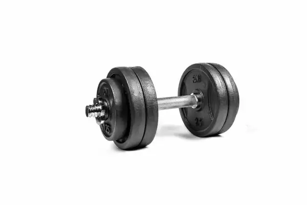 Гантеля розбірна металева RN-Sport 13,5 кг (RN_QTR13) купити