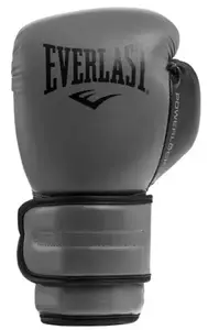 Боксерські рукавиці Everlast POWERLOCK 2R TRAINING GLOVE сірий, чорний Уні 16 унцій купити