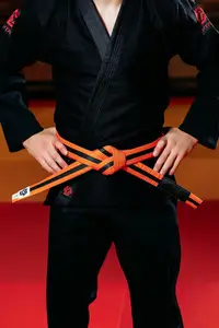 Оранжево-черный пояс для джиу джитса ТМ KINTAYO, 170 рост купить