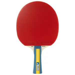 Набір для настільного тенісу Joola Team Master Pro 2 Bats 3 Balls (52001-1) купити