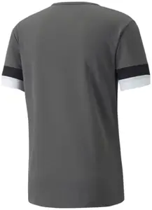 Футболка Puma teamRISE Jersey сірий Чол XL купити