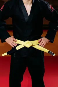 Жовтий пояс для джіу джитсу ТМ KINTAYO, 150 зріст купити