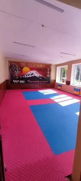 Татамі мат EVA 20 мм 1х1м Червоно-синій купити недорого в Україні, фото 6