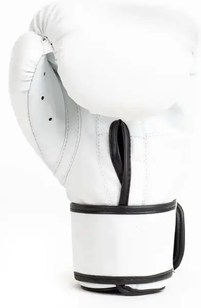 Боксерські рукавиці Everlast CORE 2 TRAINING GLOVE білий Уні S/M купити недорого в Україні, фото 3