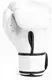 Боксерські рукавиці Everlast CORE 2 TRAINING GLOVE білий Уні S/M купити
