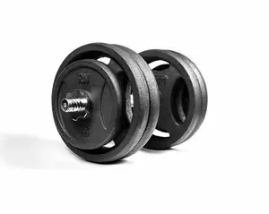 Гантеля разборная RN-Sport 26 кг металлическая (RN_QTR26) купить