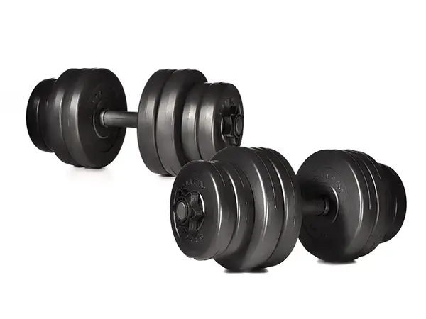 Гантелі Elitum 2 х 16кг купити