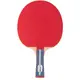 Ракетка для настільного тенісу Gewo Standard Pro FL (600300001) купити недорого в Україні, фото 21465